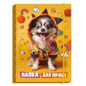 Папка для праці "Рюкзачок" А4 карт/лам. на гумці